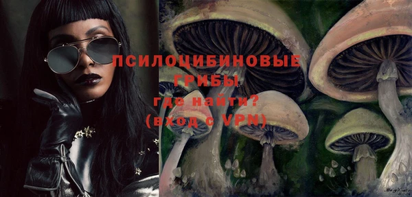 индика Медногорск
