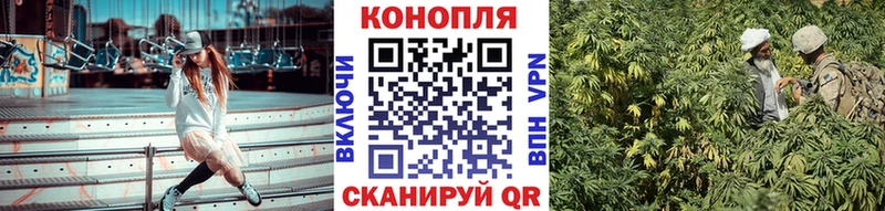 купить   Вологда  Канабис THC 21% 